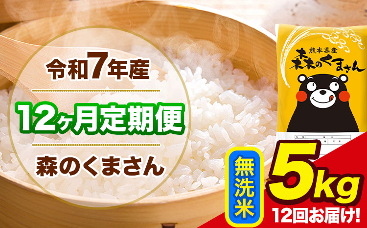 令和7年産 森のくまさん【12ヶ月定期便】 無洗米 《お申込み翌月から出荷開始》5kg(5kg×1袋) 計12回お届け 熊本県産 単一原料米 森くま 熊本県 玉東町