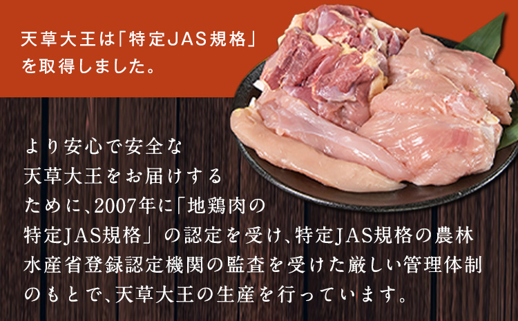 天草大王 贅沢1羽セット 約1.5kg【幻の地鶏】もも・むね・ささみ 各2枚《60日以内に出荷予定(土日祝除く)》