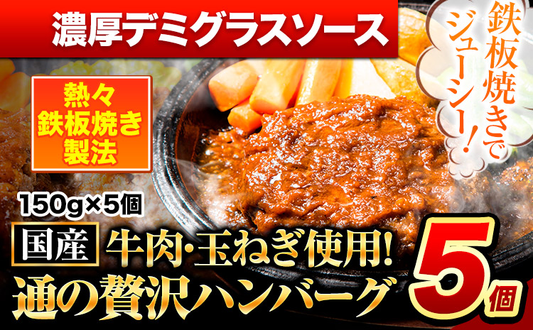 ハンバーグ 5個 国産のお肉使用！ 鶏肉不使用 温めるだけ 「通の贅沢ハンバーグ」濃厚デミグラスソース《45日以内に出荷予定(土日祝除く)》 牛 訳あり 小分け 早く届く