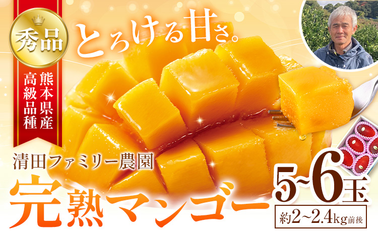 くまもと完熟マンゴー 5〜6玉(約2kg〜2.4kg前後) 熊本県玉名郡玉東町『清田ファミリー農園』マンゴー 完熟 秀品【日付指定不可】《5月下旬-8月末頃出荷》