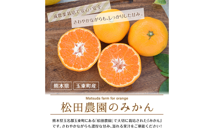 ジューシーで甘い♪『松田農園』のみかんたっぷり約5kg (S-2Lサイズ) 《11月上旬-12月下旬頃出荷》 予約受付中 フルーツ 秋 旬 熊本県 玉名郡玉東町『松田農園』手間暇かけたこだわりのミカン