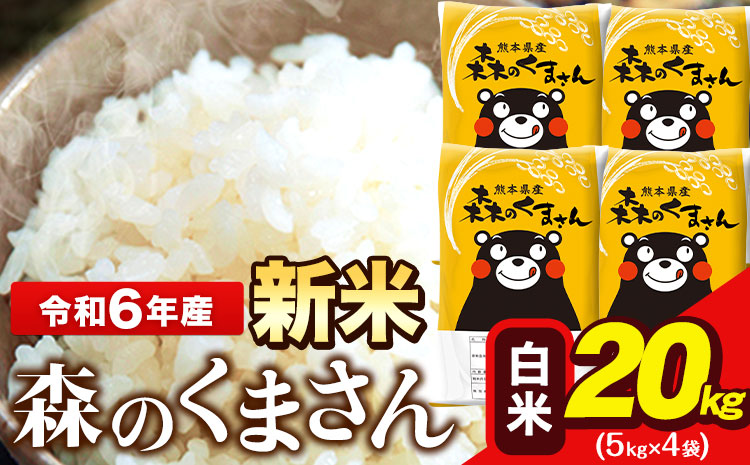 令和6年産 新米  森のくまさん 20kg 5kg × 4袋  白米 熊本県産 単一原料米 森くま《11月-12月より出荷予定》送料無料