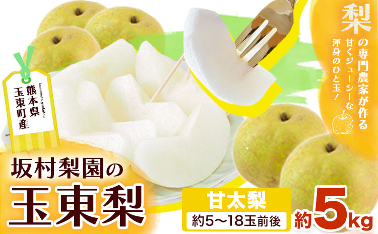 梨 なし 甘太梨 約5kg(5～18玉前後) 坂村梨園 《8月中旬-11月上旬頃出荷》熊本県 玉東町 秋 旬 梨 フルーツ 果物 期間限定