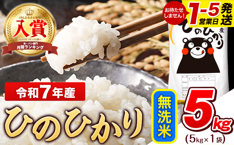 令和7年産 ひのひかり 無洗米 5kg (5kg×1袋)《1-5日以内に出荷予定(土日祝除く)》熊本県産 ひの 米 こめ ヒノヒカリ コメ お米 おこめ