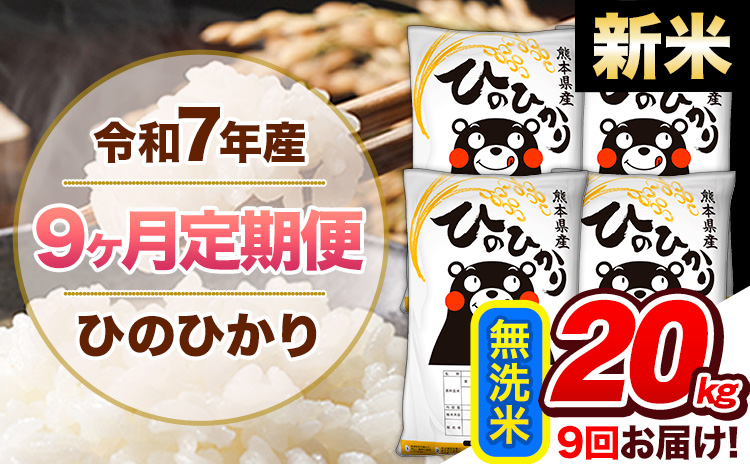 【9ヶ月定期便】新米 令和7年産 無洗米 定期便 ひのひかり 20kg 《お申込み翌月から出荷》 熊本県産 ふるさと納税 精米 ひの 米 こめ ふるさとのうぜい ヒノヒカリ コメ 熊本米 ひのもり