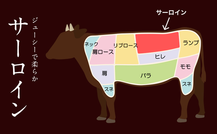 あか牛（褐毛和牛） サーロイン ステーキ 500g 牛肉 冷凍《2026年1月中旬-3月末頃出荷》