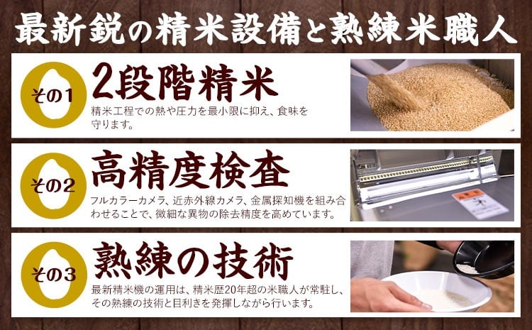 【9ヶ月定期便】熊本県産 さとほまれ 無洗米 ご家庭用 定期便 20kg 《お申込み翌月から出荷》熊本県 玉名郡 玉東町 米 こめ コメ ブレンド米 送料無料