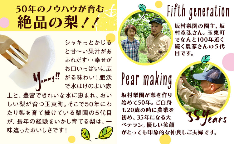 梨 なし 甘太梨 約5kg(5～18玉前後) 坂村梨園 《8月中旬-11月上旬頃出荷》熊本県 玉東町 秋 旬 梨 フルーツ 果物 期間限定