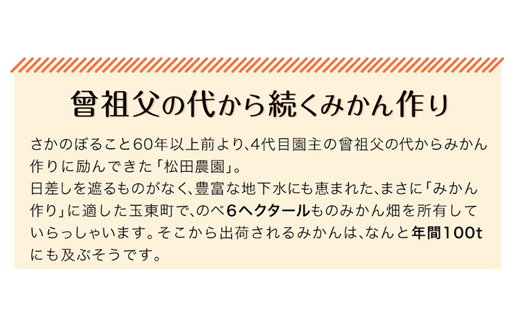 ジューシーで甘い♪『松田農園』のみかんたっぷり約5kg (S-2Lサイズ) 《11月上旬-12月下旬頃出荷》 予約受付中 フルーツ 秋 旬 熊本県 玉名郡玉東町『松田農園』手間暇かけたこだわりのミカン