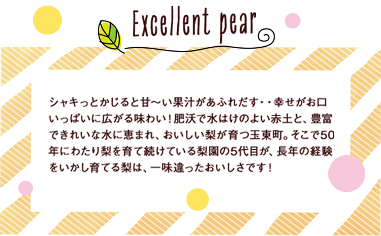 坂村梨園 玉東梨 熊本県玉名郡玉東町 約3kg(4〜10玉前後) 梨 なし 果物 旬の梨 《8月中旬-11月上旬頃出荷》