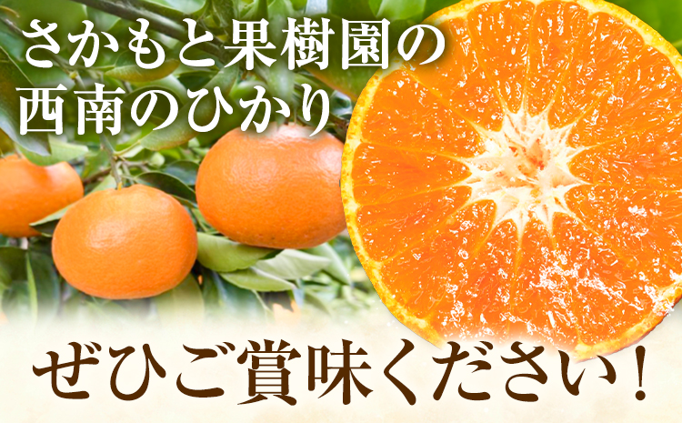 西南のひかり 約5kg さかもと果樹園《12月中旬-12月末頃出荷》熊本県 玉名郡 玉東町 みかん 柑橘 フルーツ 果物 ご家庭用 サイズミックス