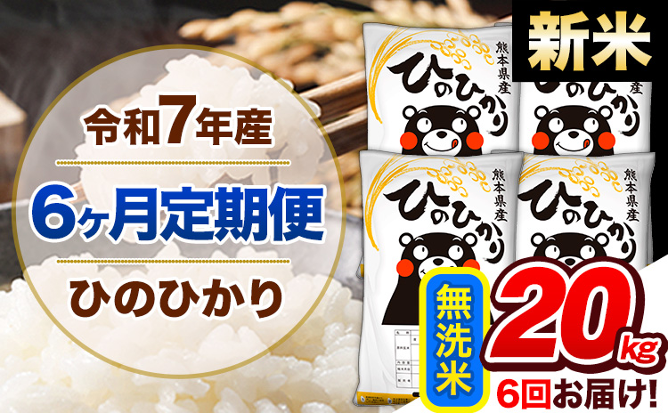 【6ヶ月定期便】新米 令和7年産 定期便 無洗米 ひのひかり 20kg 《お申込み翌月から出荷開始》熊本県産 ふるさと納税 精米 ひの 米 こめ ふるさとのうぜい ヒノヒカリ コメ 熊本米