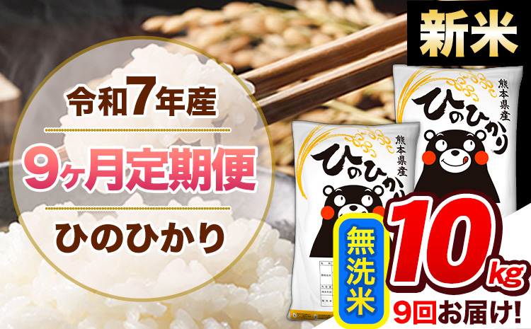 【9ヶ月定期便】新米 令和7年産 無洗米 定期便 ひのひかり 10kg 《お申込み翌月から出荷》 熊本県産 ふるさと納税 精米 ひの 米 こめ ふるさとのうぜい ヒノヒカリ コメ 熊本米 ひのもり