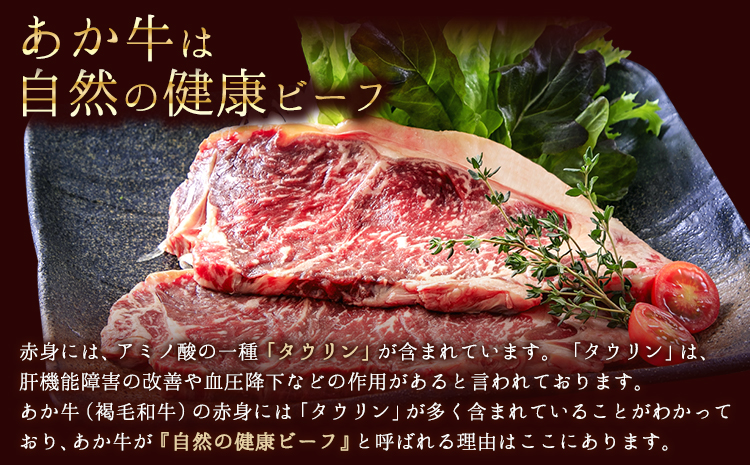 あか牛（褐毛和牛） サーロイン ステーキ 500g 牛肉 冷凍《2026年1月中旬-3月末頃出荷》