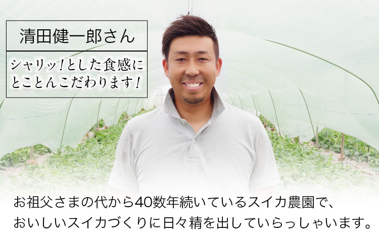 『清田健一郎さん』のすいか 1玉約6-7kg 熊本県玉名郡玉東町『清田健一郎さん』すいか フルーツ 果物 熊本県産《4月下旬-4月末頃出荷》