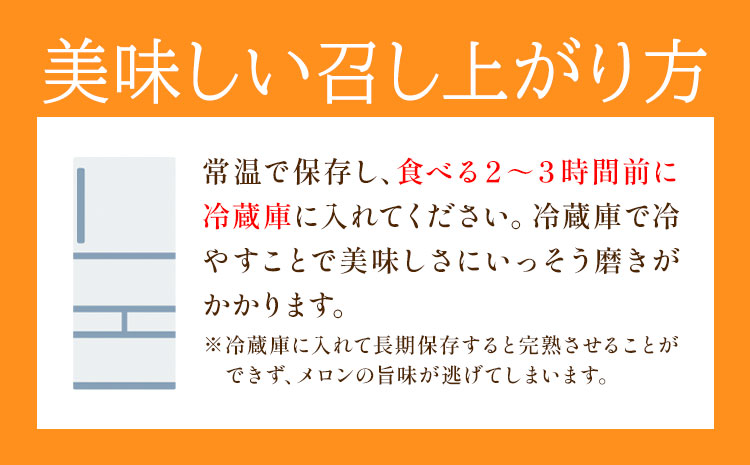 【先行予約】肥後グリーンメロン 2玉 児玉農園 1玉(1.8kg以上)《5月上旬-5月末頃出荷》メロン グリーンメロン 熊本県 玉東町 フルーツ 果物