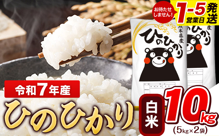 令和7年産 ひのひかり 白米 10kg (5kg×2袋)《1-5日以内に出荷予定(土日祝除く)》熊本県産 白米 精米 ひの 米 こめ ヒノヒカリ コメ お米 おこめ