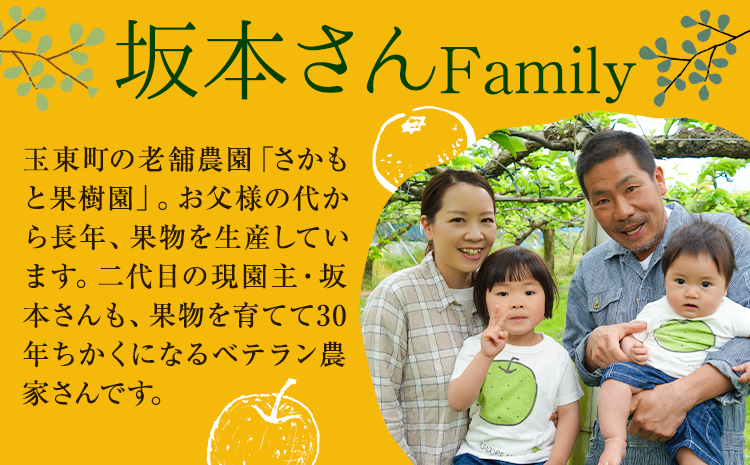西南のひかり 約5kg さかもと果樹園《12月中旬-12月末頃出荷》熊本県 玉名郡 玉東町 みかん 柑橘 フルーツ 果物 ご家庭用 サイズミックス