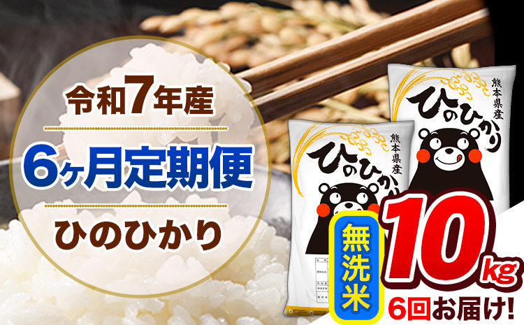 【6ヶ月定期便】令和7年産  ひのひかり 無洗米 10kg (5kg×2袋)《お申込み翌月から出荷開始》熊本県産 ひの 米 こめ ヒノヒカリ コメ お米 おこめ