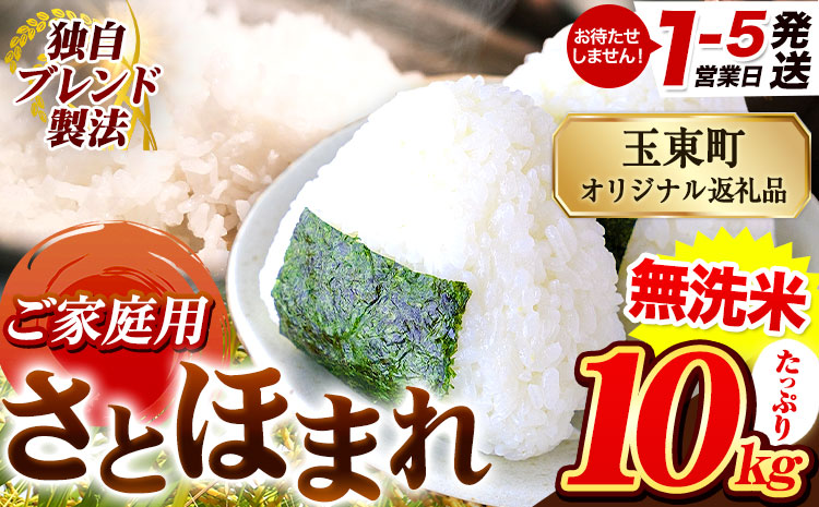 熊本県産 さとほまれ 無洗米 ご家庭用 10kg 《1-5日以内に出荷予定(土日祝除く)》熊本県 玉名郡 玉東町 米 こめ コメ ブレンド米 送料無料