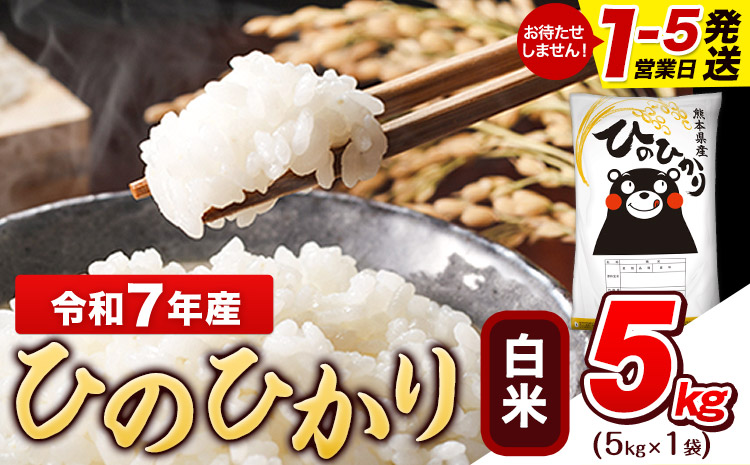 令和7年産 ひのひかり 白米 5kg (5kg×1袋)《1-5日以内に出荷予定(土日祝除く)》熊本県産 白米 精米 ひの 米 こめ ヒノヒカリ コメ お米 おこめ