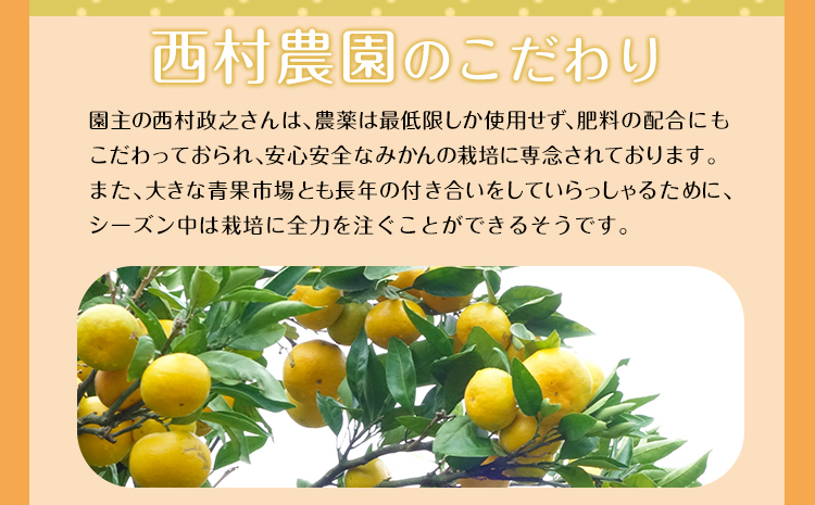 『西村農園』のみかん★約5kg(S-Lサイズ)  フルーツ 秋 旬★熊本県玉名郡玉東町 80年の老舗農家が作るジューシーみかん♪《11月下旬-12月下旬頃出荷》