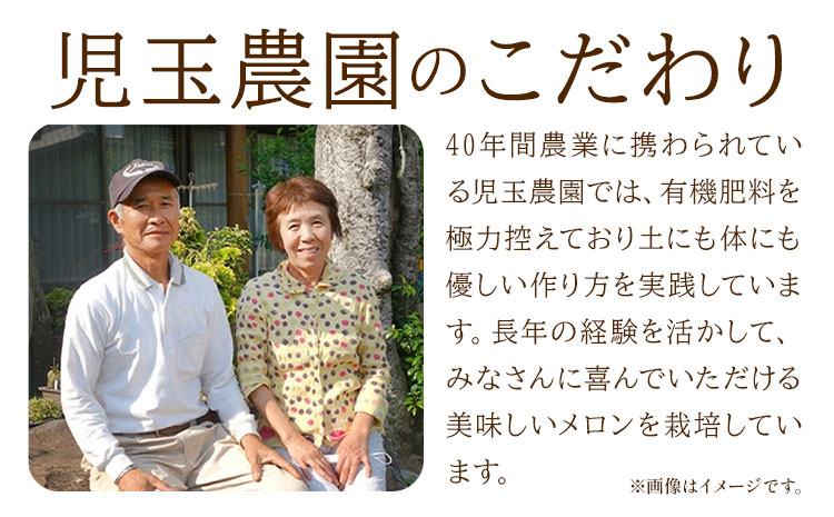 【先行予約】肥後グリーンメロン 2玉 児玉農園 1玉(1.8kg以上)《5月上旬-5月末頃出荷》メロン グリーンメロン 熊本県 玉東町 フルーツ 果物