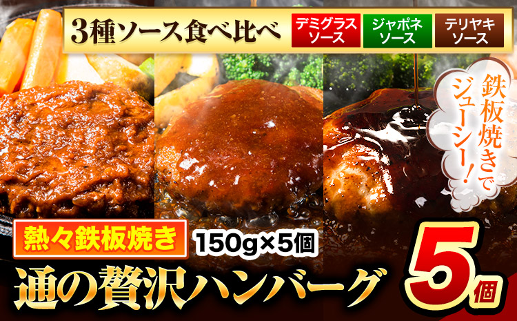 ハンバーグ 5個 国産のお肉使用！ 鶏肉不使用 温めるだけ 「通の贅沢ハンバーグ」3種ソース食べ比べ《7-14日以内に出荷予定(土日祝除く)》 牛 訳あり 小分け 早く届く