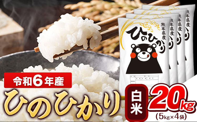 令和6年産 ひのひかり 無洗米 20kg (5kg×4袋)《7-14営業日以内に出荷予定(土日祝除く)》熊本県産 ひの 米 こめ ヒノヒカリ コメ お米 おこめ