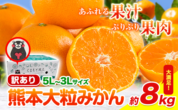 【新登場！】訳あり 熊本 大粒みかん 約8kg (3L～5Lサイズ) みかん 先行予約 ご家庭用 たっぷり 熊本県産 熊本県 期間限定 フルーツ 旬 柑橘 大玉《2025年1月中旬-2月末頃より出荷予定》