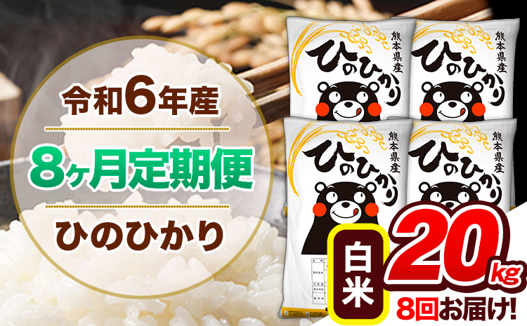 【8ヶ月定期便】令和6年産 定期便 ひのひかり20kg 《申込み翌月から発送》令和6年産 熊本県産 ふるさと納税 白米 精米 ひの 米 こめ ふるさとのうぜい ヒノヒカリ コメ 熊本米 ひのもり