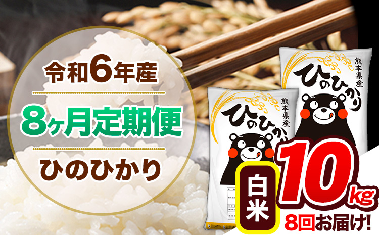 【8ヶ月定期便】令和6年産 定期便 ひのひかり 10kg 《申込み翌月から発送》令和6年産 熊本県産 ふるさと納税 白米 精米 ひの 米 こめ ふるさとのうぜい ヒノヒカリ コメ 熊本米 ひのもり