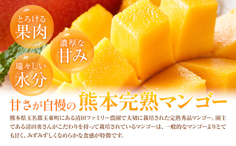 くまもと完熟マンゴー 2〜3玉(約1kg〜1.2kg前後) 熊本県玉名郡玉東町『清田ファミリー農園』マンゴー 完熟 秀品【日付指定不可】《5月下旬-8月末頃出荷》