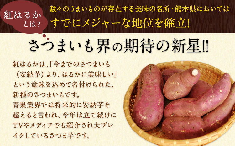 『ひめや』の 焼き芋 紅はるか 約1kg 4-5本入り 秋 旬 芋 紅はるか 《60日以内に出荷予定(土日祝除く)》