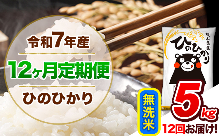 【12ヶ月定期便】令和7年産 定期便 無洗米 ひのひかり 5kg 《お申込み翌月から出荷開始》熊本県産 ふるさと納税 精米 ひの 米 こめ ふるさとのうぜい ヒノヒカリ コメ 熊本米 ひのもり