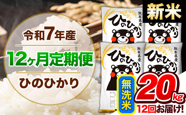 【12ヶ月定期便】新米 令和7年産 定期便 無洗米 ひのひかり 20kg 《お申込み翌月から出荷開始》熊本県産 ふるさと納税 精米 ひの 米 こめ ふるさとのうぜい ヒノヒカリ コメ 熊本米 ひのもり