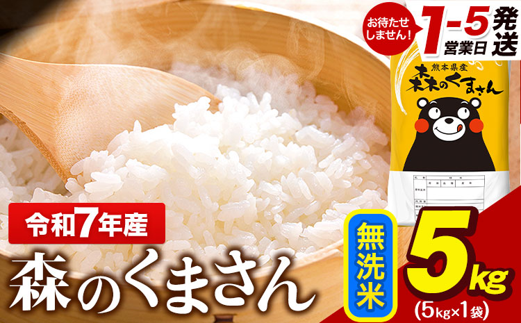 令和7年産  無洗米  森のくまさん 5kg × 1袋  熊本県産 単一原料米 森くま《1-5日以内に出荷予定(土日祝除く)》送料無料