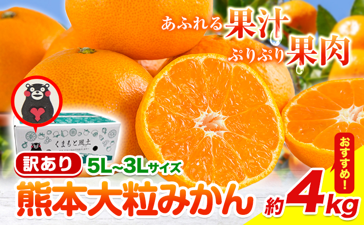 【新登場！】訳あり 熊本 大粒みかん 約4kg (3L～5Lサイズ) みかん 先行予約 ご家庭用 たっぷり 熊本県産 熊本県 期間限定 フルーツ 旬 柑橘 大玉《2025年1月中旬-2月末頃より出荷予定》