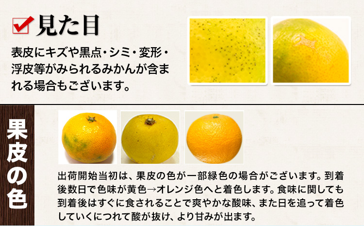 最短7日発送！ 訳あり みかん 小玉みかん くまもと小玉みかん  8kg 秋 旬 不揃い 傷 ご家庭用 SDGs 小玉 たっぷり 熊本県 産 S-3Sサイズ フルーツ 旬 柑橘 熊本県産 温州みかん《7-14日以内に出荷予定(土日祝除く)》 早く届く