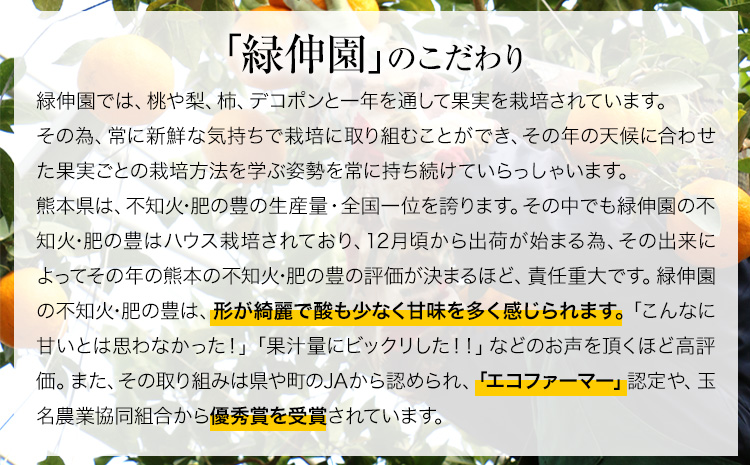 『緑伸園』の不知火・肥の豊 約2.5kg あのデコポンと同品種《12月中旬-1月下旬出荷》