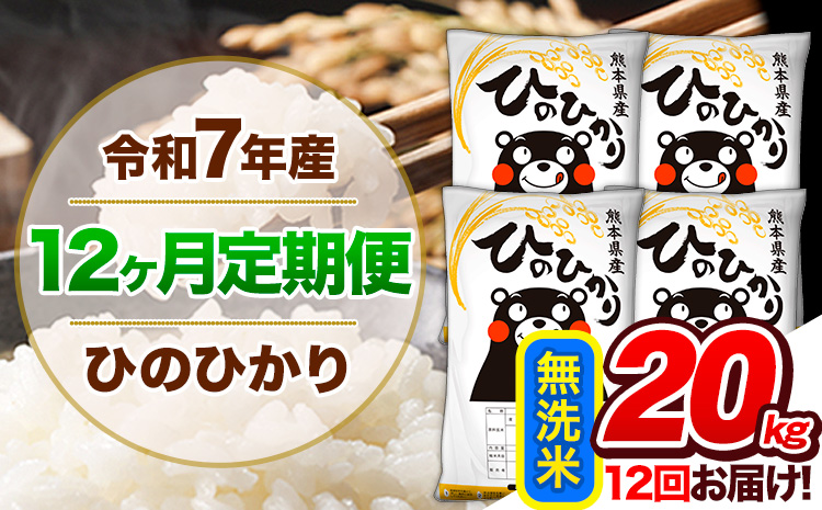 【12ヶ月定期便】令和7年産 定期便 無洗米 ひのひかり 20kg 《お申込み翌月から出荷開始》熊本県産 ふるさと納税 精米 ひの 米 こめ ふるさとのうぜい ヒノヒカリ コメ 熊本米 ひのもり