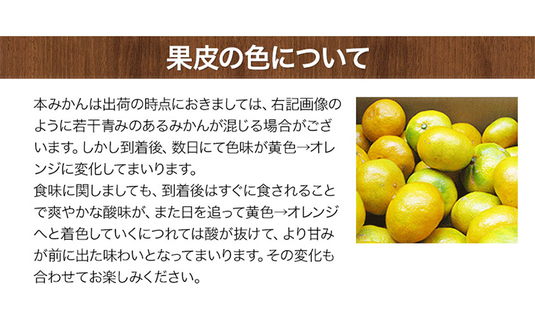 ご家庭用『菅本果実園』のご家庭用みかん★約5kg(2S-2Lサイズ) 《11月下旬-12月末頃出荷》 フルーツ 秋 旬★熊本県玉名郡玉東町 全国にファン多数！エコファーマー菅本さんのみかん♪『菅本果実園』ちょこっと訳あり