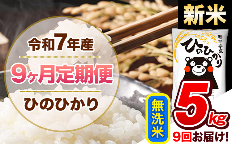 ã9ã¶æå®æäŸ¿ãæ°ç±³ 什å7å¹Žç£ ç¡æŽç±³ å®æäŸ¿ ã²ã®ã²ãã 5kg ããç³èŸŒã¿ç¿æããåºè·ã çæ¬çç£ ãµãããšçŽçš 粟米 ã²ã® ç±³ ãã ãµãããšã®ããã ãããã«ãª ã³ã¡ çæ¬ç±³ ã²ã®ãã