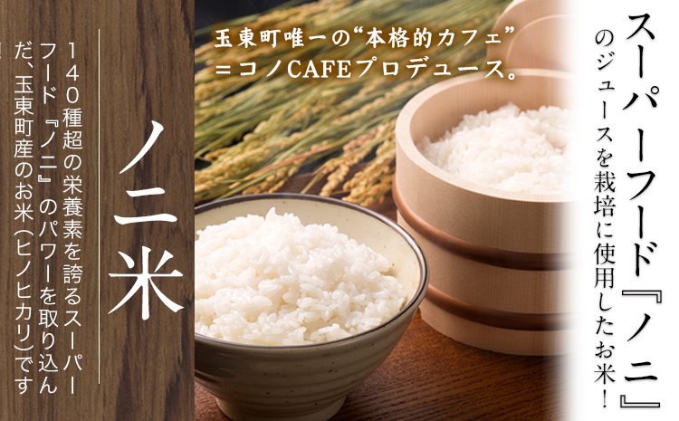 令和6年産  ひのひかり(ノニ米) 10kg(5kg×2袋)コノCAFE《30日以内に出荷予定(土日祝除く)》