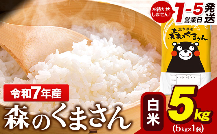 令和7年産 森のくまさん 5kg × 1袋  白米 熊本県産 単一原料米 森くま《1-5日以内に出荷予定(土日祝除く)》送料無料