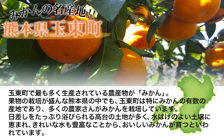 冷凍みかん 1.5kg 《 2月上旬‐3月上旬頃出荷》 玉東町産みかん使用 みかん 冷凍 フルーツ 果物 お中元 贈答 ギフト