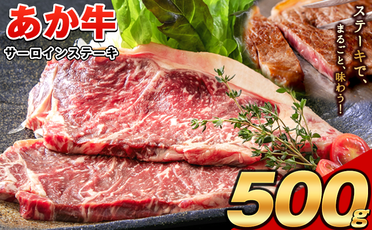 あか牛（褐毛和牛） サーロイン ステーキ 500g 牛肉 冷凍《2026年1月中旬-3月末頃出荷》
