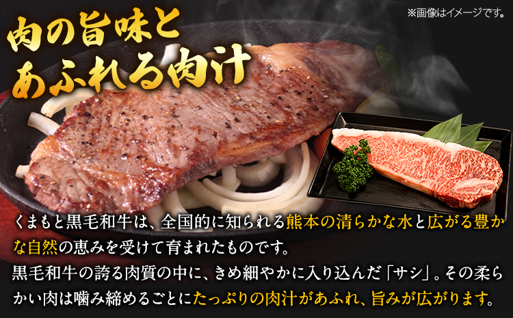 くまもと黒毛和牛 サーロインステーキ 500g (250g x 2枚) 牛肉 冷凍 《30日以内に出荷予定(土日祝除く)》 くまもと黒毛和牛 黒毛和牛 冷凍庫 個別 取分け 小分け 個包装 ステーキ肉 にも サーロインステーキ