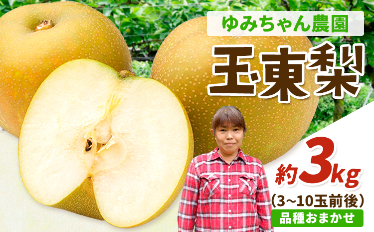 『ゆみちゃん農園』の玉東梨 約3kg 3玉-10玉前後 《2026年8月下旬-10月上旬頃出荷》熊本県玉名郡玉東町 梨 なし 果物 フルーツ 旬の梨