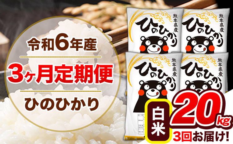 【3ヶ月定期便】令和6年産 定期便 ひのひかり20kg 《申込み翌月から発送》令和6年産 熊本県産 ふるさと納税 白米 精米 ひの 米 こめ ふるさとのうぜい ヒノヒカリ コメ 熊本米